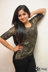 Rehana at Chakkiligintha Movie Audio Success Meet